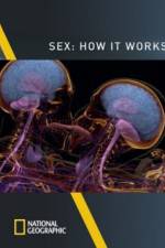 Watch Sex How It Works 123moviesFree