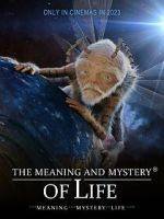 Watch The Meaning and Mystery of Life 123moviesFree