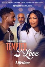 Watch Terry McMillan Presents: Tempted 2 Love 123moviesFree