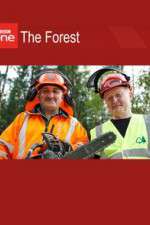 Watch The Forest 123moviesFree