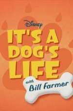 Watch It\'s a Dog\'s Life with Bill Farmer 123moviesFree