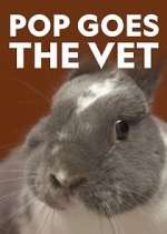 Watch Pop Goes the Vet 123moviesFree