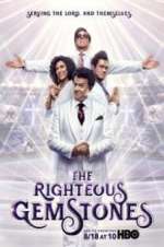 Watch The Righteous Gemstones 123moviesFree