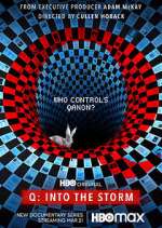 Watch Q: Into the Storm 123moviesFree