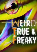 Watch Weird, True & Freaky 123moviesFree