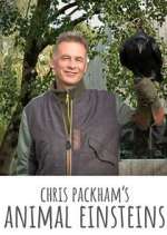 Watch Chris Packham's Animal Einsteins 123moviesFree