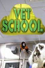 Watch Vet School 123moviesFree