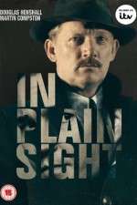 Watch In Plain Sight 123moviesFree