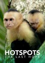 Watch Hotspots: The Last Hope 123moviesFree