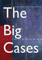 Watch The Big Cases 123moviesFree