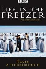 Watch Life in the Freezer 123moviesFree