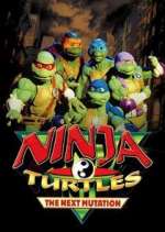 Watch Ninja Turtles: The Next Mutation 123moviesFree
