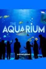 Watch The Aquarium 123moviesFree