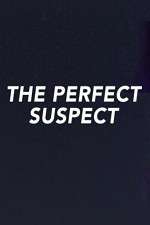 Watch The Perfect Suspect 123moviesFree