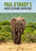 Watch Paul O'Grady's Great Elephant Adventure 123moviesFree