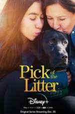 Watch Pick of the Litter 123moviesFree