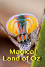 Watch Magical Land of Oz 123moviesFree