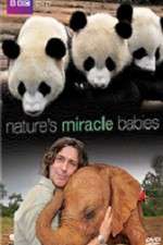 Watch Natures Miracle Babies 123moviesFree