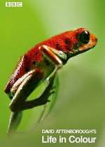 Watch Attenborough's Life in Colour 123moviesFree