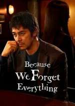 Watch Because We Forget Everything 123moviesFree