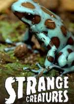 Watch Strange Creatures 123moviesFree