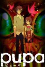 Watch Pupa 123moviesFree