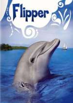 Watch Flipper 123moviesFree