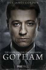 Watch Gotham 123moviesFree