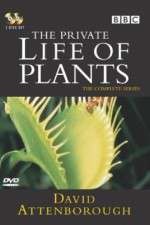 Watch The Private Life of Plants 123moviesFree