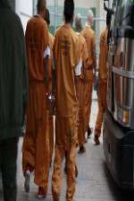 Watch First Week In 123moviesFree