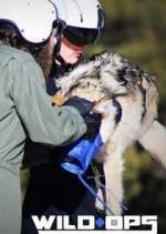 Watch Wild Ops 123moviesFree