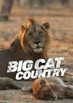 Watch Big Cat Country 123moviesFree
