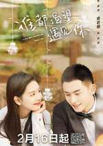 Watch Everyone Wants to Meet You 123moviesFree