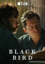 Watch Black Bird 123moviesFree