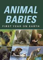 Watch Animal Babies: First Year on Earth 123moviesFree