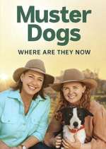 Watch Muster Dogs: Where Are They Now? 123moviesFree