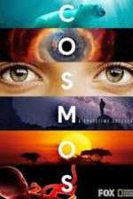 Watch Cosmos A SpaceTime Odyssey 123moviesFree