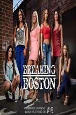 Watch Breaking Boston 123moviesFree