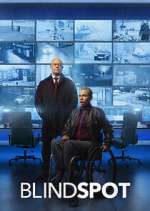 Watch Blindspot 123moviesFree