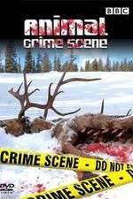 Watch Animal Crime Scene 123moviesFree