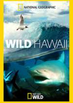 Watch Wild Hawaii 123moviesFree