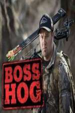 Watch Boss Hog 123moviesFree