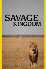 Watch Savage Kingdom 123moviesFree