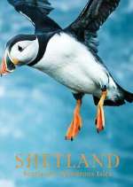 Watch Shetland: Scotland's Wondrous Isles 123moviesFree