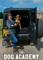 Watch Bad Dog Academy 123moviesFree