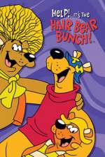 Watch Help!... It's the Hair Bear Bunch 123moviesFree