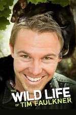 Watch The Wild Life of Tim Faulkner 123moviesFree