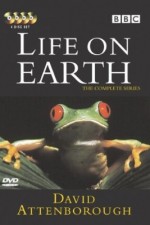 Watch Life on Earth 123moviesFree