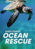 Watch Gold Coast Ocean Rescue 123moviesFree