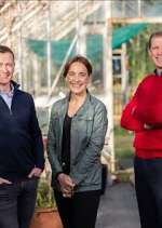 Watch Ear to the Ground 123moviesFree